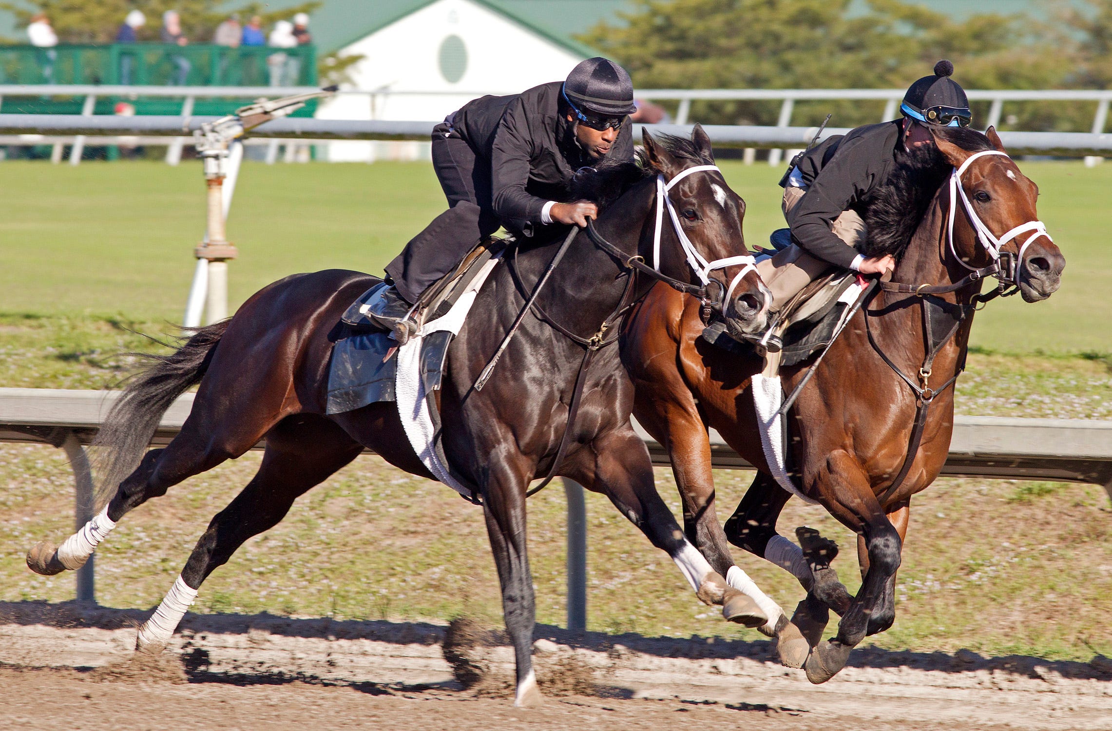 Fountain of Youth Violence puts Pletcher's drive to Kentucky Derby in